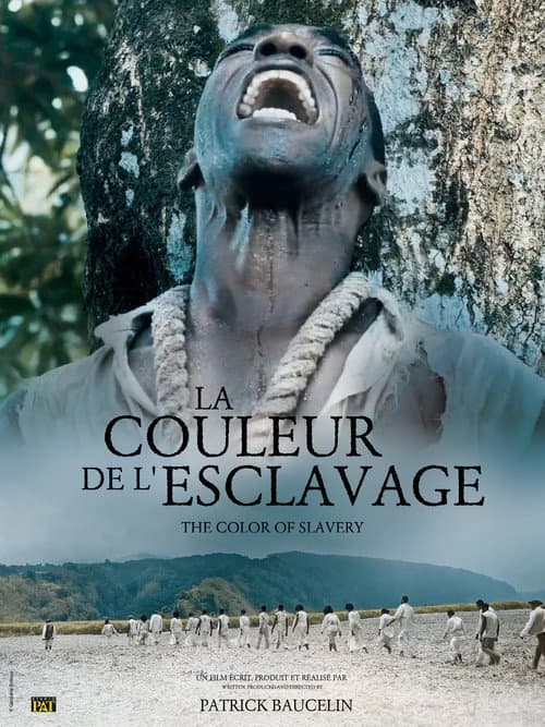 La Couleur de l'esclavage