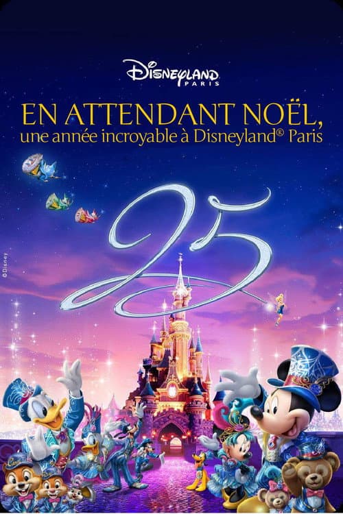 Waiting for Christmas: An Incredible Year at Disneyland Paris