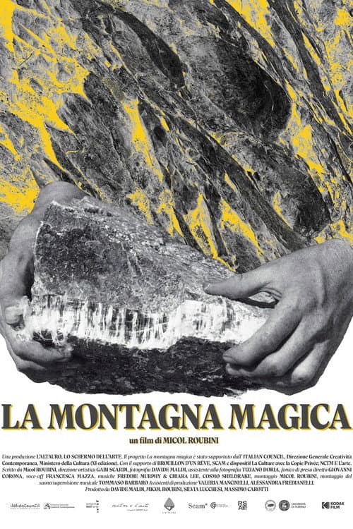 La montagna magica