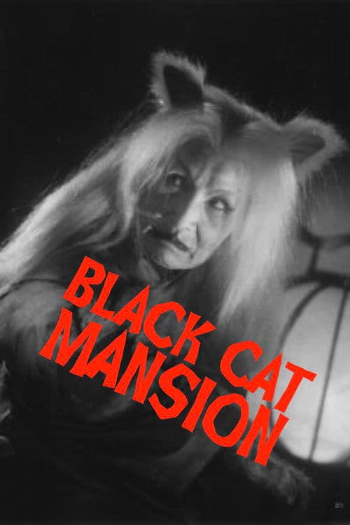 Black Cat Mansion