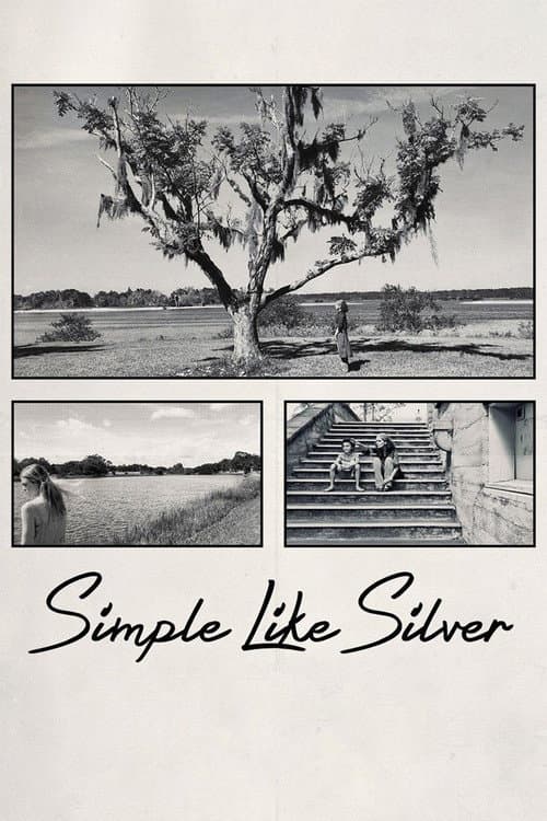 Simple Like Silver