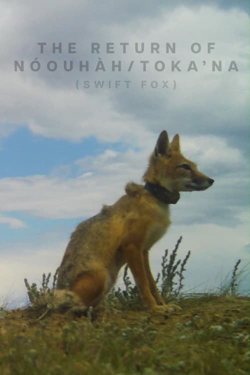 The Return of Nóouhàh-Toka’na