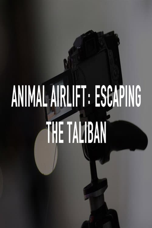 Animal Airlift: Escaping the Taliban