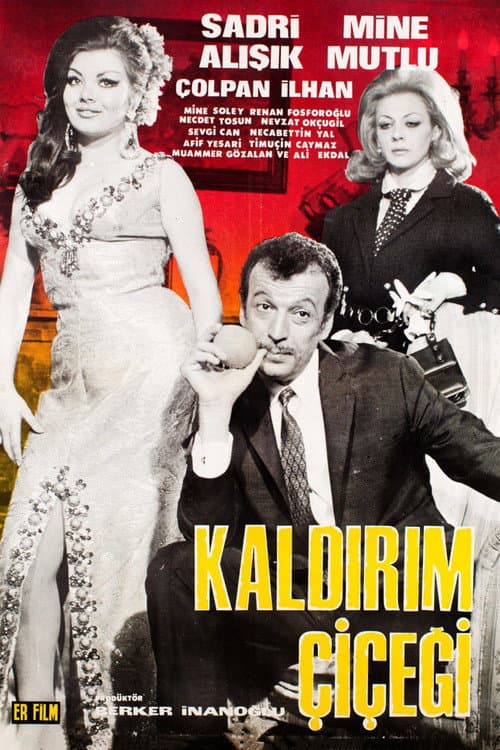 Kaldırım Çiçeği