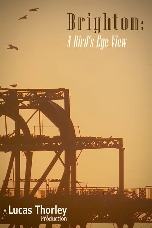 Brighton: A Bird's Eye View