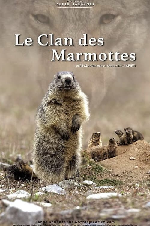 A Marmot's Life