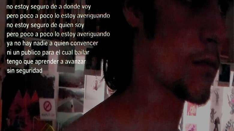 video diario
