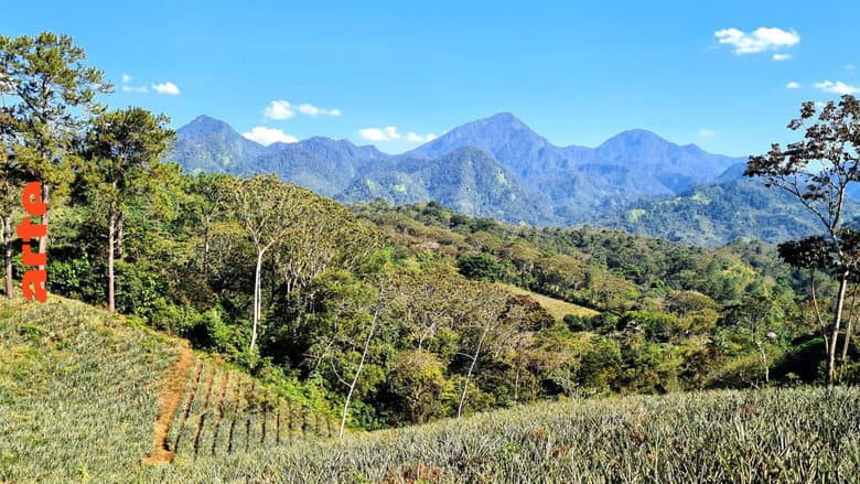 Honduras: Von Regenwald und Strand
