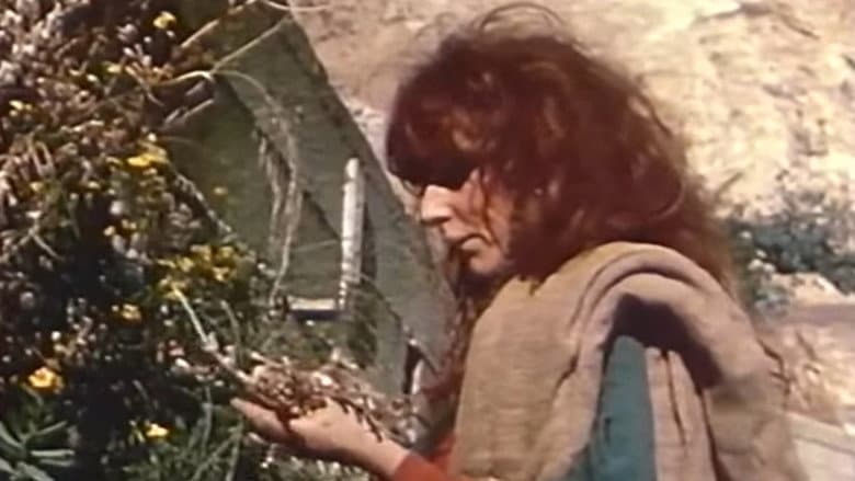 Vali, The Witch of Positano