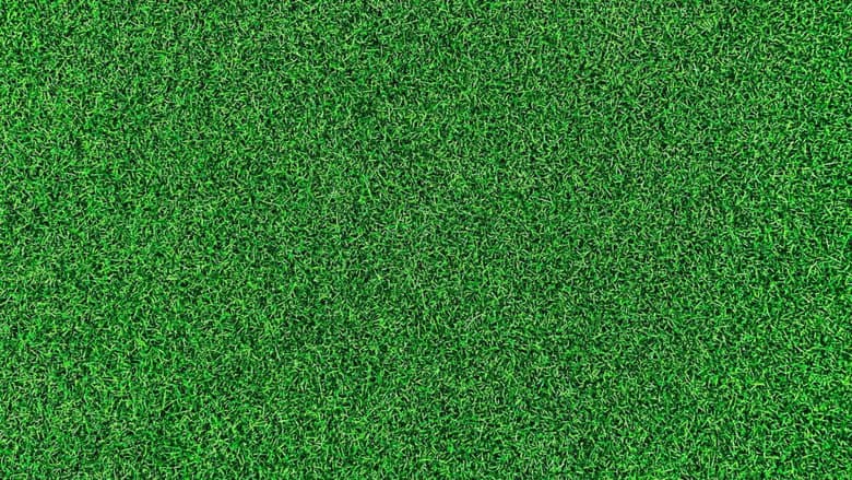 Life on the Green