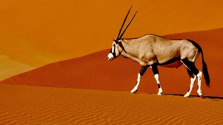 Namibia’s Natural Wonders