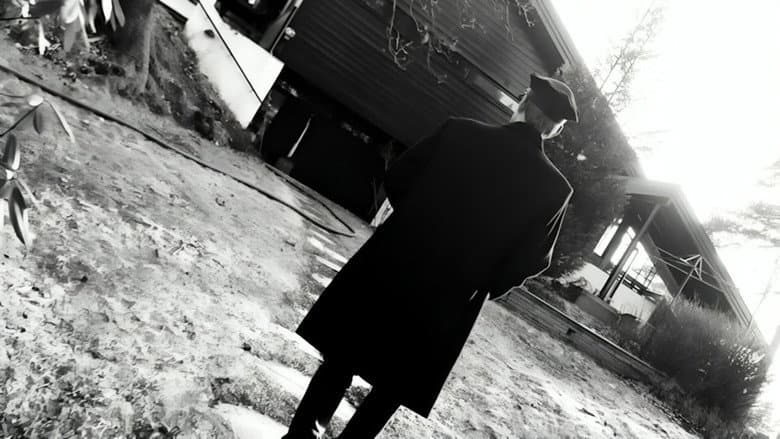 Dead Man's Tale (A Film Noir)