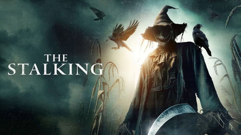 The Stalking