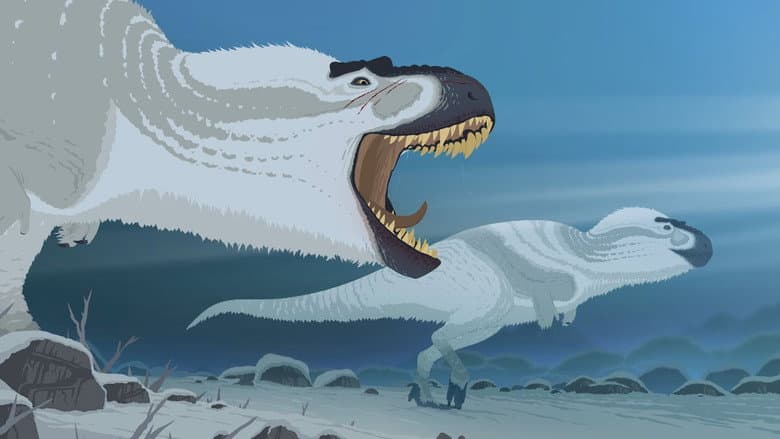 Our Frozen Past