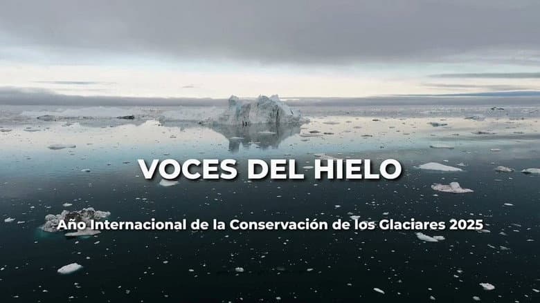 Voces de hielo