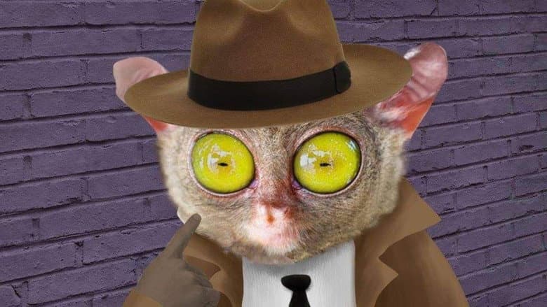 Lorenzo Delgado, Private Investigator
