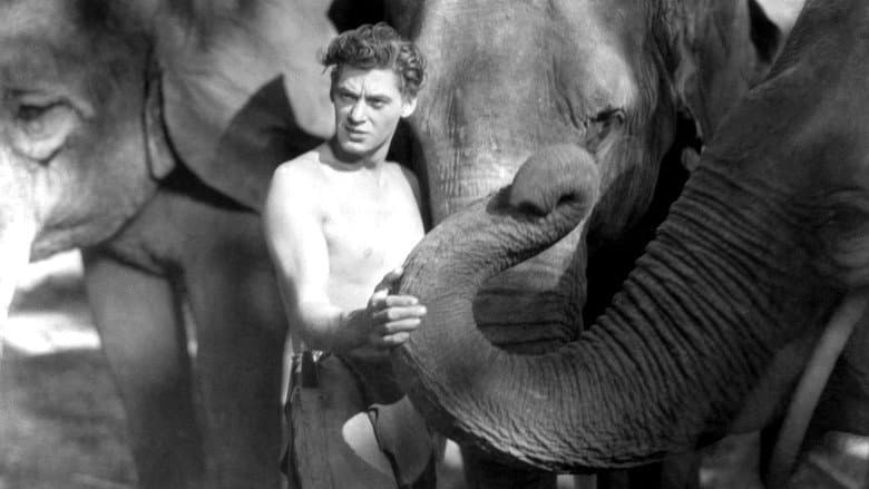 Tarzan the Ape Man