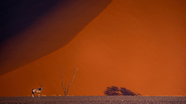 Namibie : exceptionnelle par nature