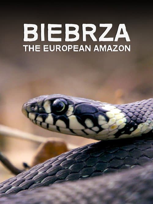 Biebrza: The European Amazon