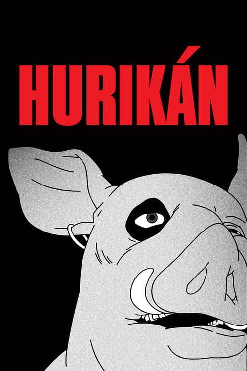 Huricane