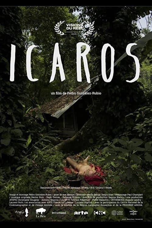 Ícaros