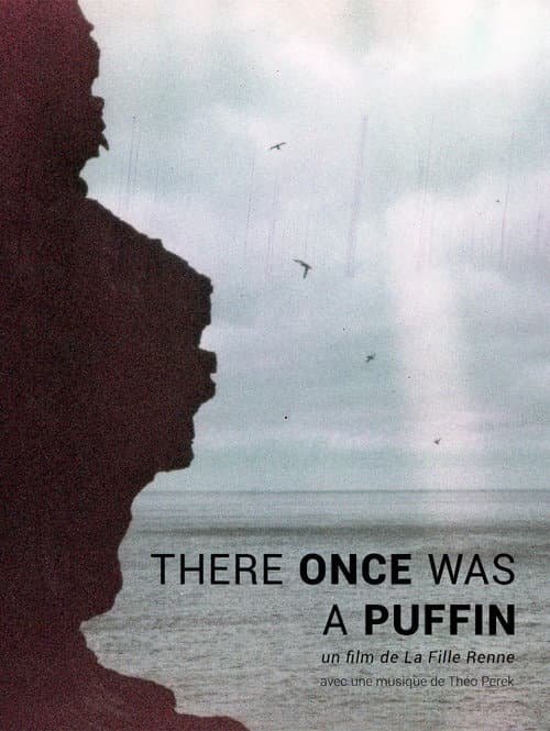 There Once was A Puffin