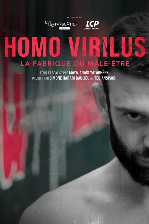 Homo virilus : la fabrique du mâle-être