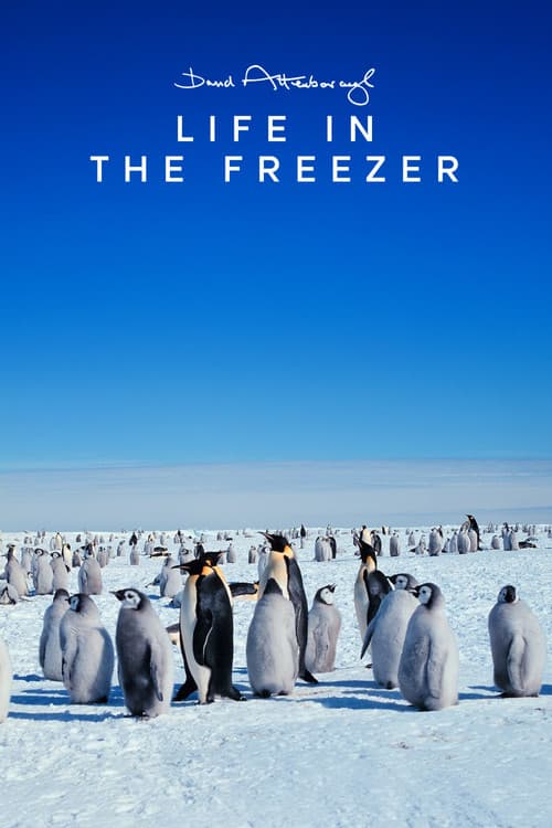 Life in the Freezer