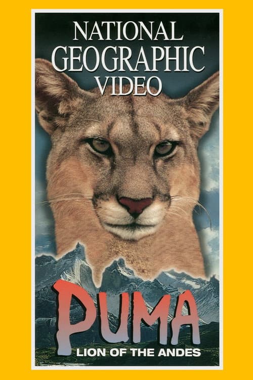 Puma: Lion of the Andes
