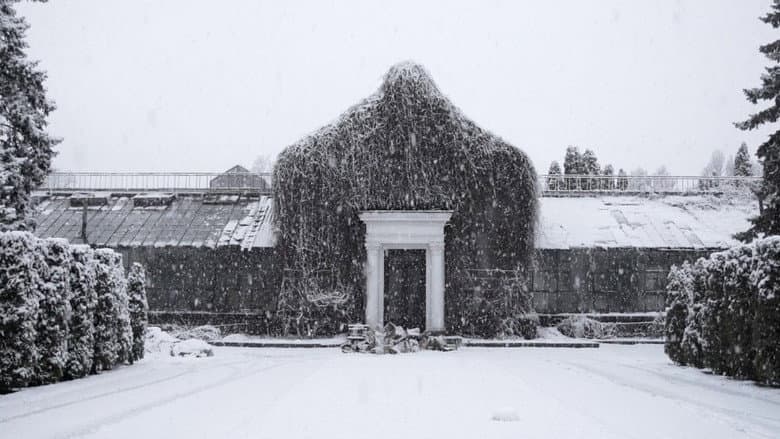 The Winter Garden’s Tale