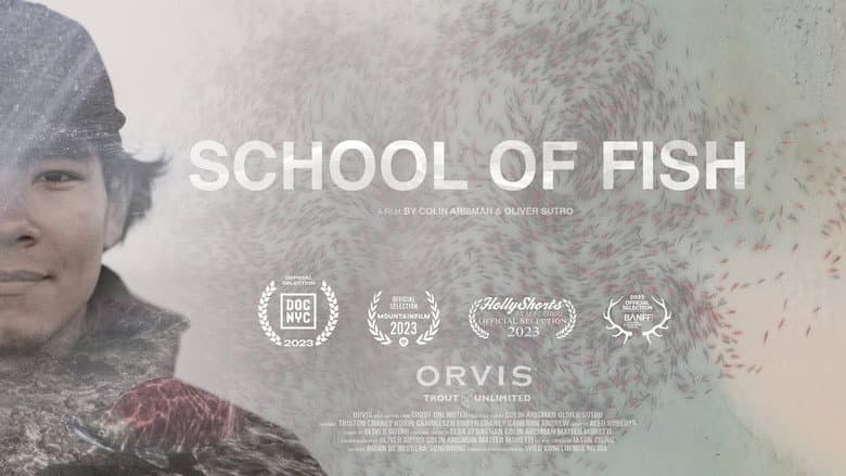 School of Fish