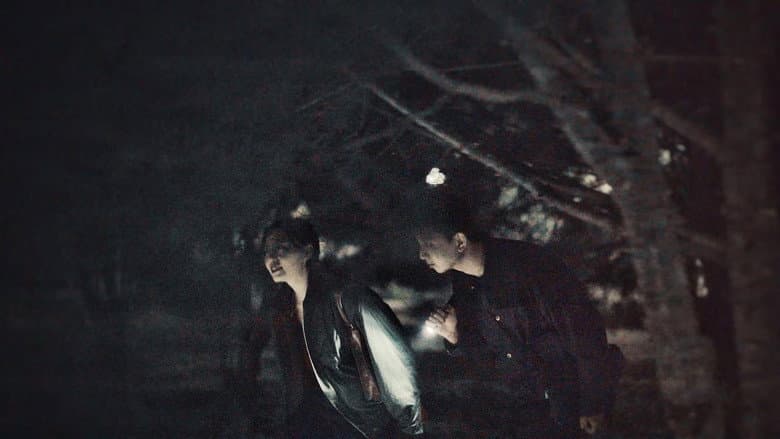 A Nocturnal Roam