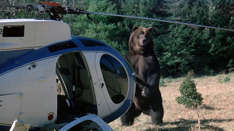 Grizzly