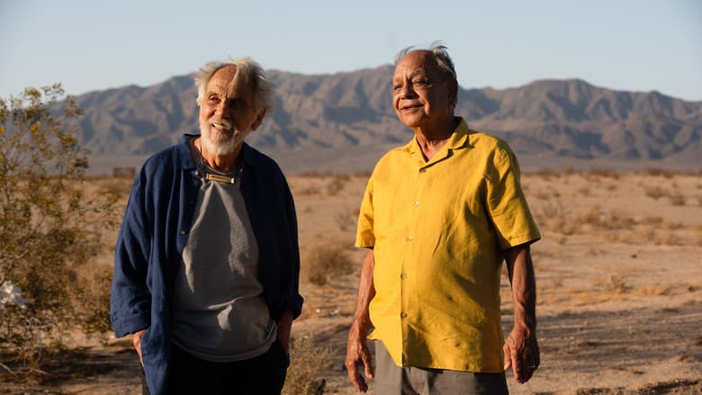 Cheech & Chong's Last Movie