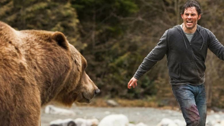 Into the Grizzly Maze